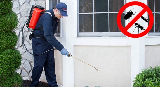 Darıca Akrep İlaçlama böcek ilaçlama ve haşere kontrolü — ilaclama-tr.com